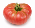 BRANDYWINE TOMATO, 4" - 6" Plant