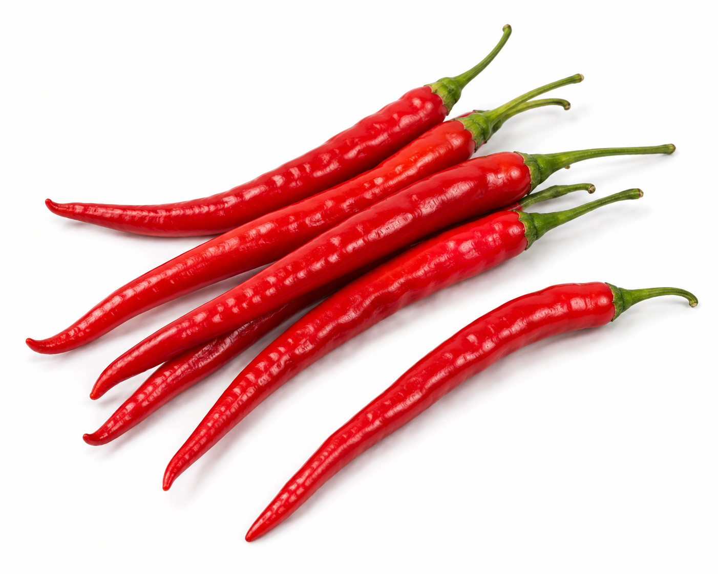 CAYENNE PEPPER, LONG, THIN, 3' - 4" Plant
