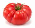 Classic Beefsteak Tomato, 4" - 6"  Plant