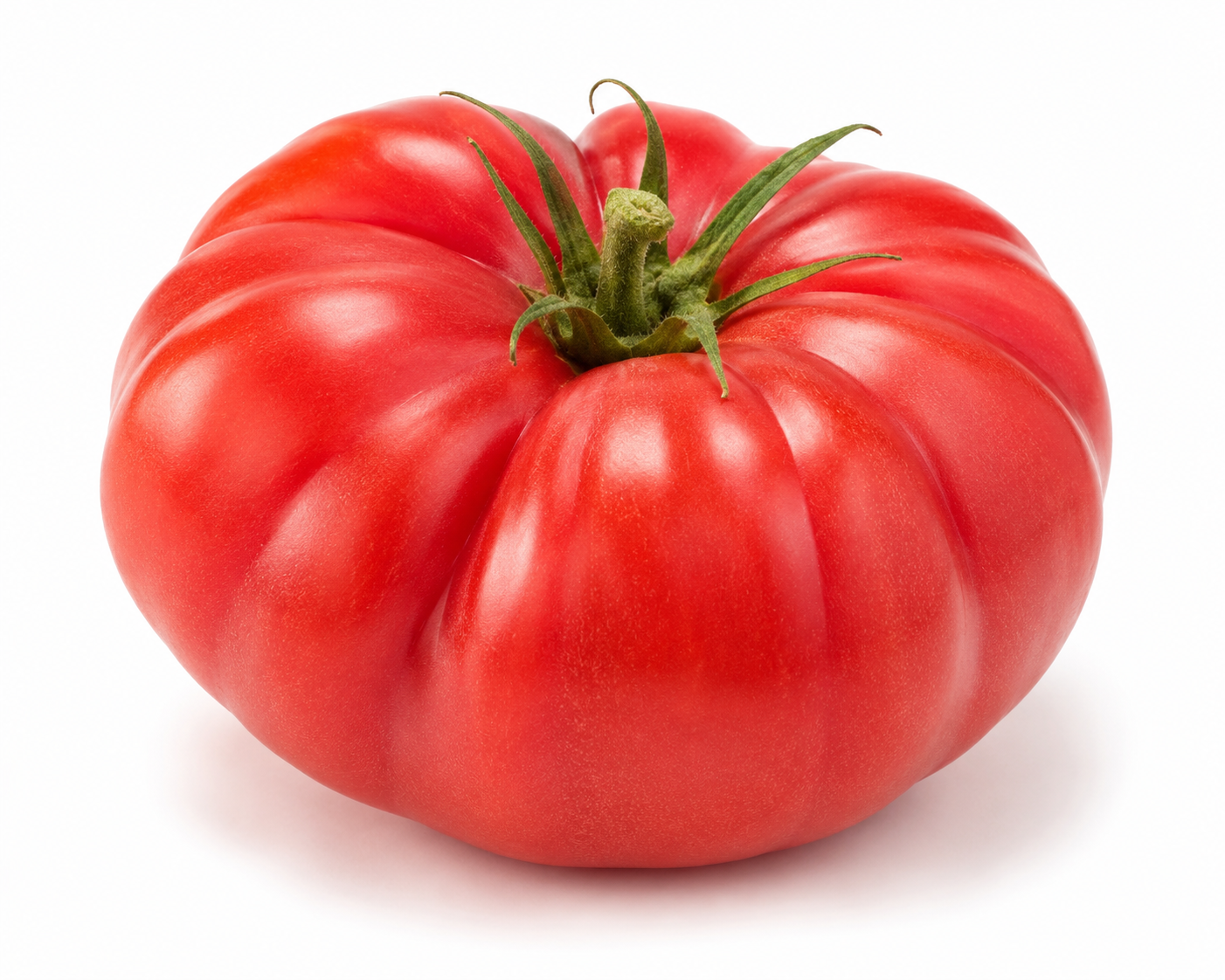 Classic Beefsteak Tomato, 4" - 6"  Plant