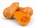 HONEYNUT SQUASH, 6" - 8", Plant
